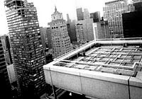 Abb.22_Linda Pollok Dachbegrünung N.Y. - Baustelle
